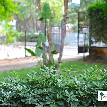 Bed & Breakfast Viale Dei Pini 3*