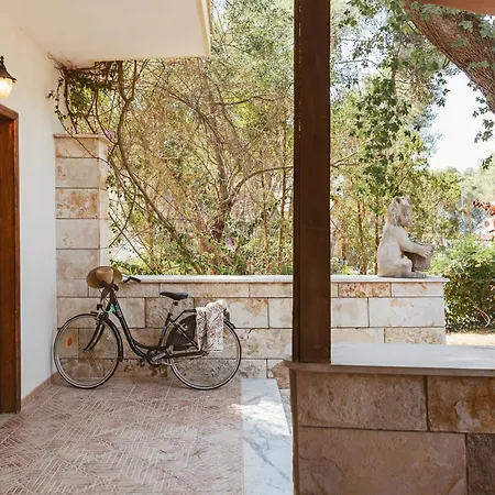 Bed & Breakfast Viale Dei Pini 3*