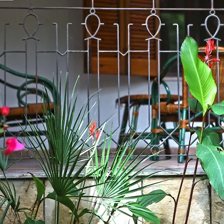 Bed & Breakfast Viale Dei Pini 3*