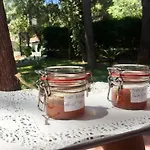Frühstückspension Viale Dei Pini 3*