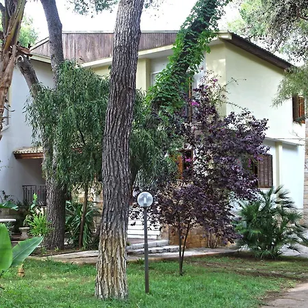 לינה וארוחת בוקר Viale Dei Pini 3*