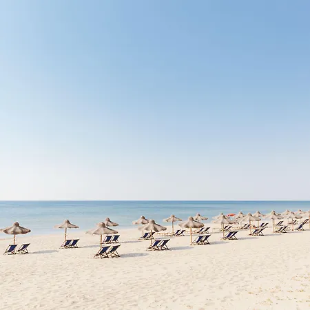 Viale Dei Pini B&B 카스텔라네타 마리나