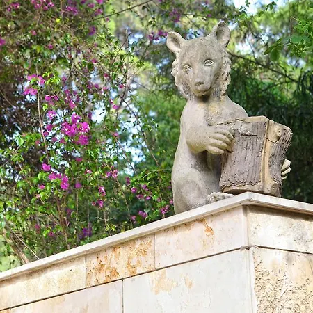 B&B Viale Dei Pini 3*