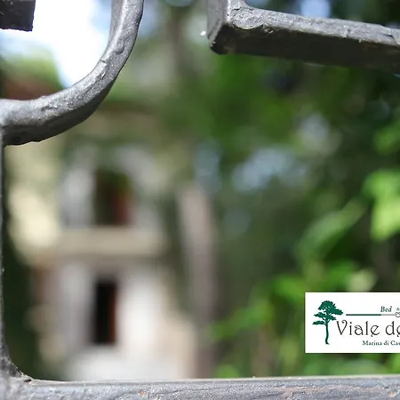 B&B Viale Dei Pini 카스텔라네타 마리나