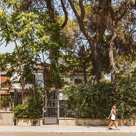 Viale Dei Pini