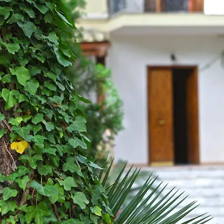 Viale Dei Pini 2*