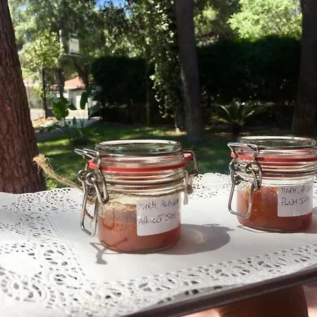 Bed & Breakfast Viale Dei Pini 2*