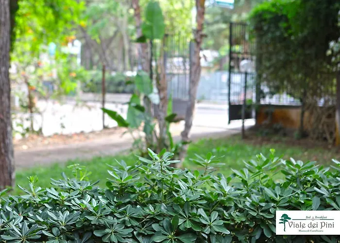 住宿加早餐酒店 Viale Dei Pini 3*