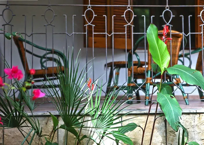 住宿加早餐酒店 Viale Dei Pini 3*